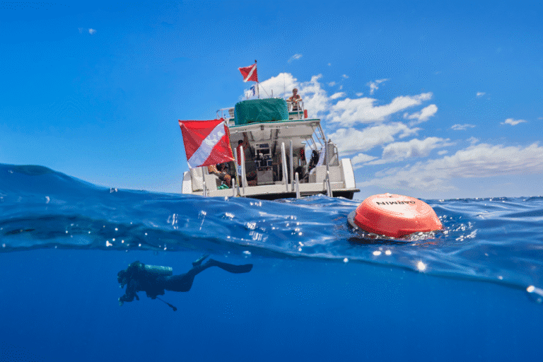 GARMIN เปิดตัว DESCENT S1 ทุ่นอัจฉริยะรุ่นใหม่ล่าสุด ชูเทคโนโลยีล้ำสมัย  เผยประสบการณ์ใช้งานจริง พร้อมยกระดับวงการดำน้ำให้ปลอดภัยกว่าที่เคย